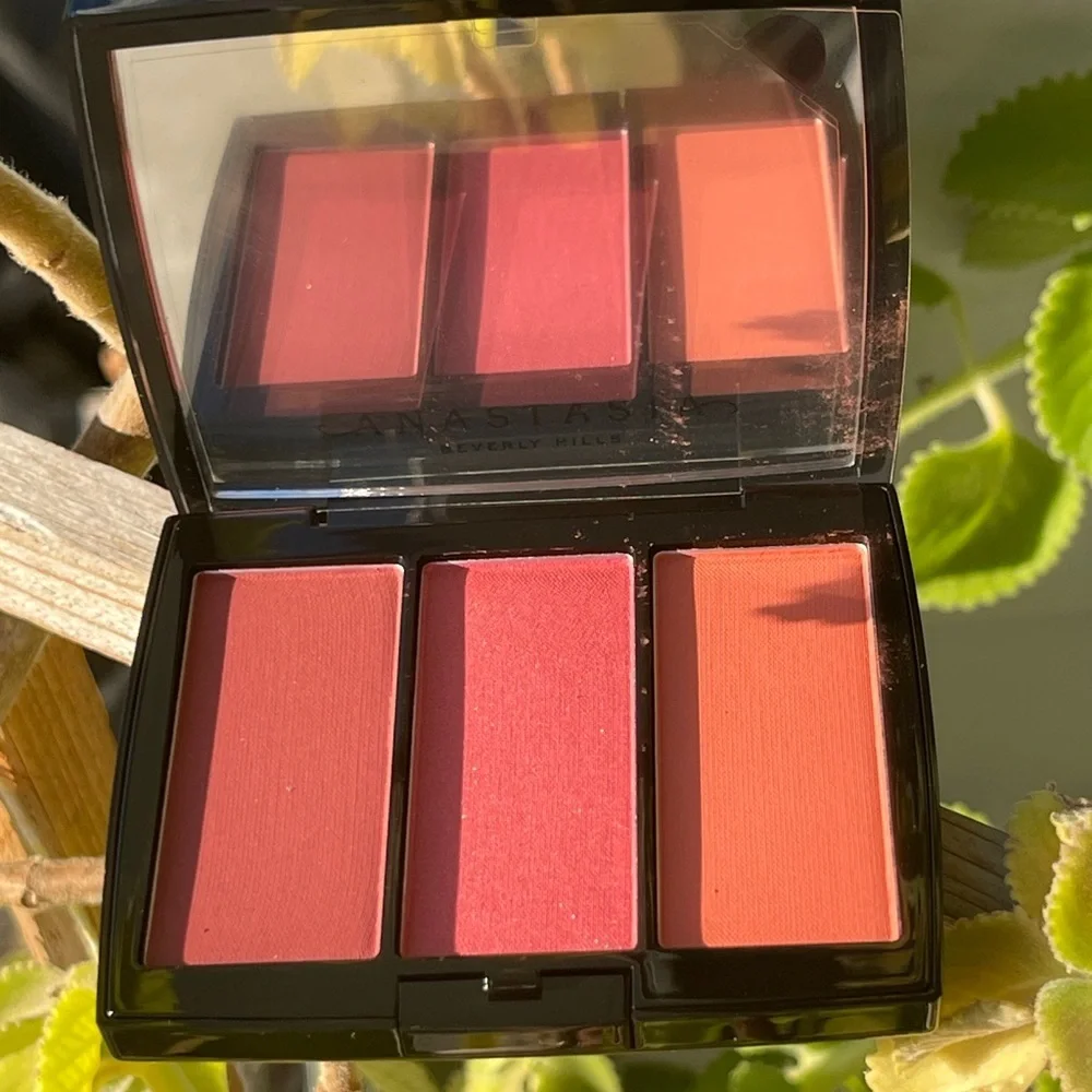 ANASTASIA BEVERLY HILLS Blush Trio In Berry Adore